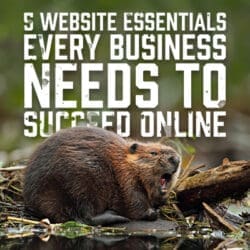 EveryBusiness